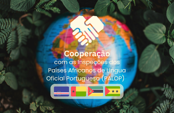 Cooperação com as Inspeções dos Países Africanos de Língua Oficial Portuguesa (PALOP)  Image