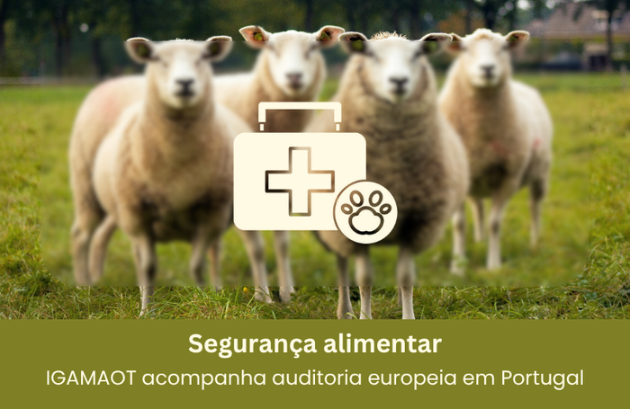 Segurança alimentar: IGAMAOT acompanha auditoria europeia em Portugal  Image